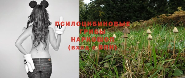 мдма Коряжма