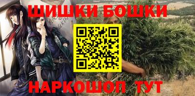 гидра Гусев