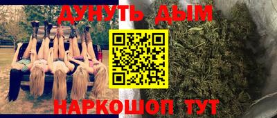 спиды Бийск