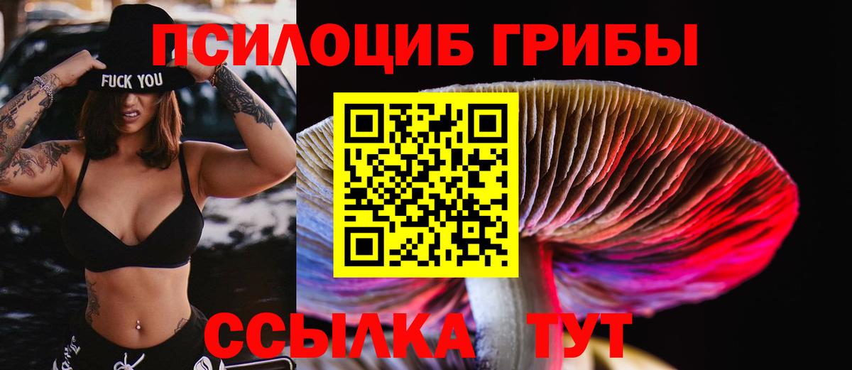 Галлюциногенные грибы мухоморы Краснознаменск