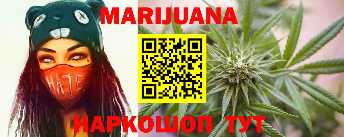 Конопля гибрид Краснознаменск