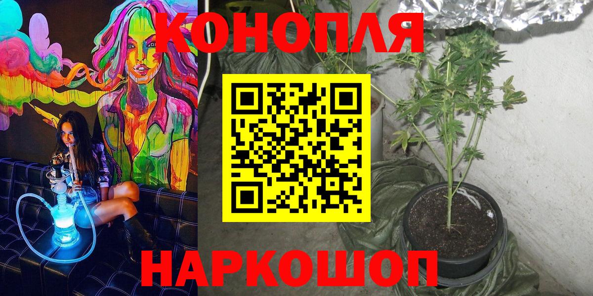 Шишки марихуана THC 21% Краснознаменск